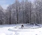 Sarmizegetusa Regia iarna Foto Sorin Zgăvârdean (12) jpg