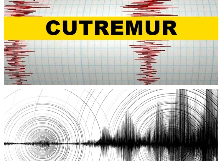 Un alt cutremur s-a produs în Gorj Foto: Facebook