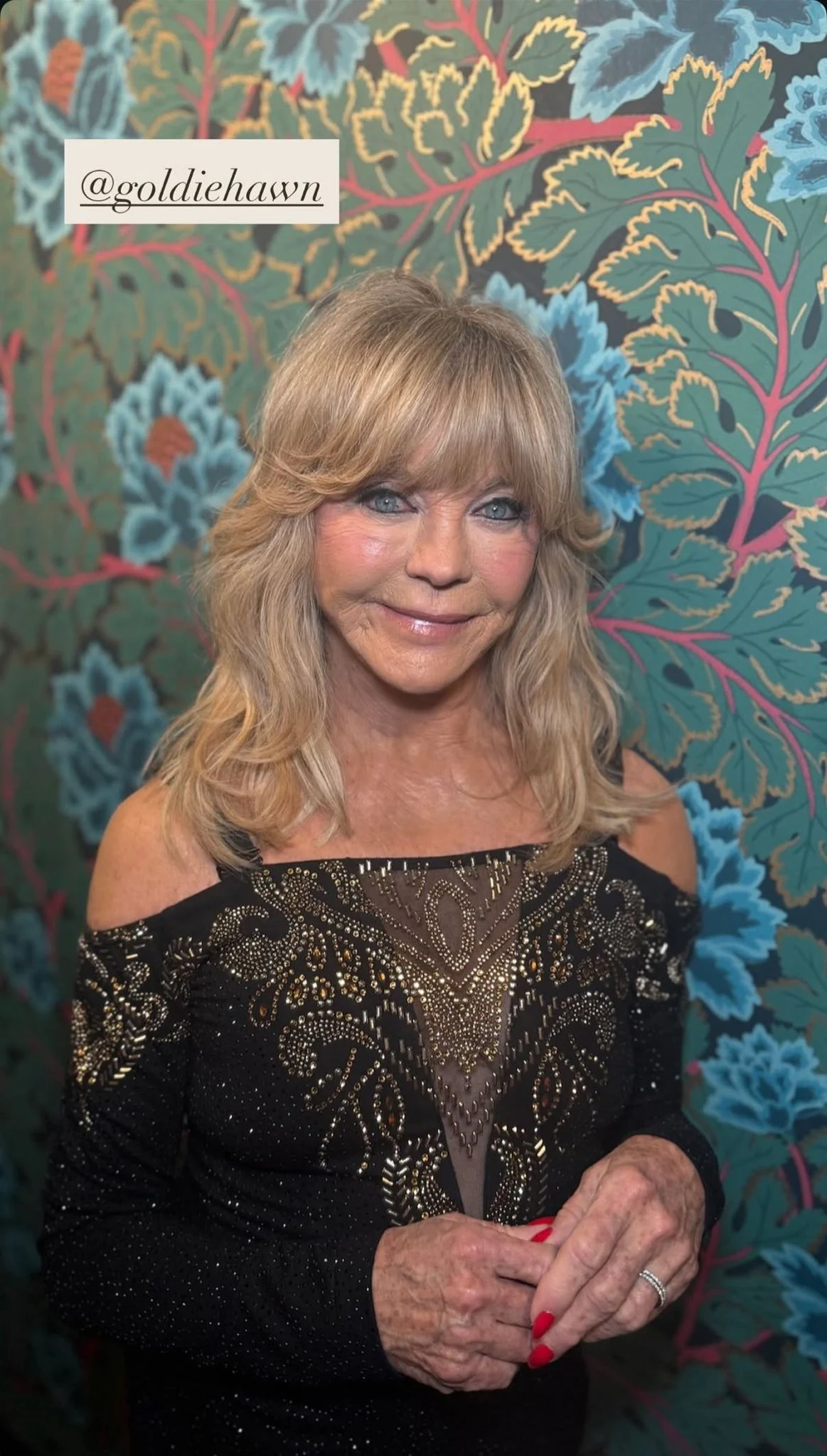 Goldie Hawn, apariție spectaculoasă la 80 de ani. Actrița a impresionat într-o rochie elegantă, cu detalii transparente