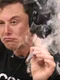 cub elon greta png