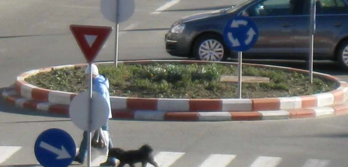 Poliţiştii au efectuat cercetări la faţa locului