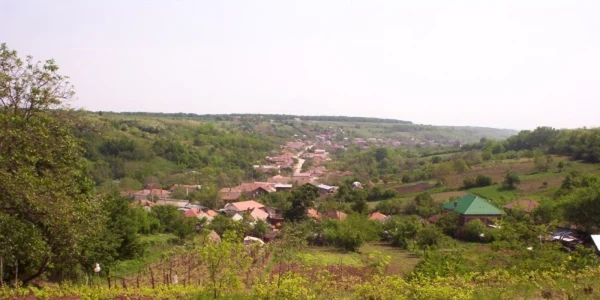 Satul Palilula este desprins din poveşti