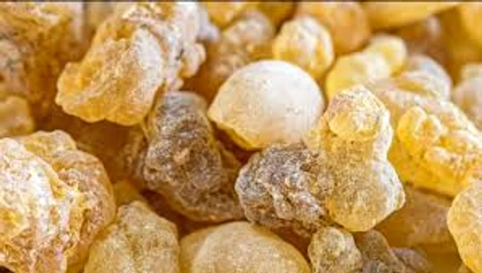 Smirna este un leac miraculos mai puțin cunoscutSursa foto:frunza-verde .ro