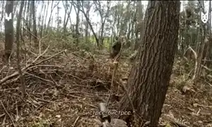 ukr gif