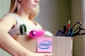concedieri intel jpeg