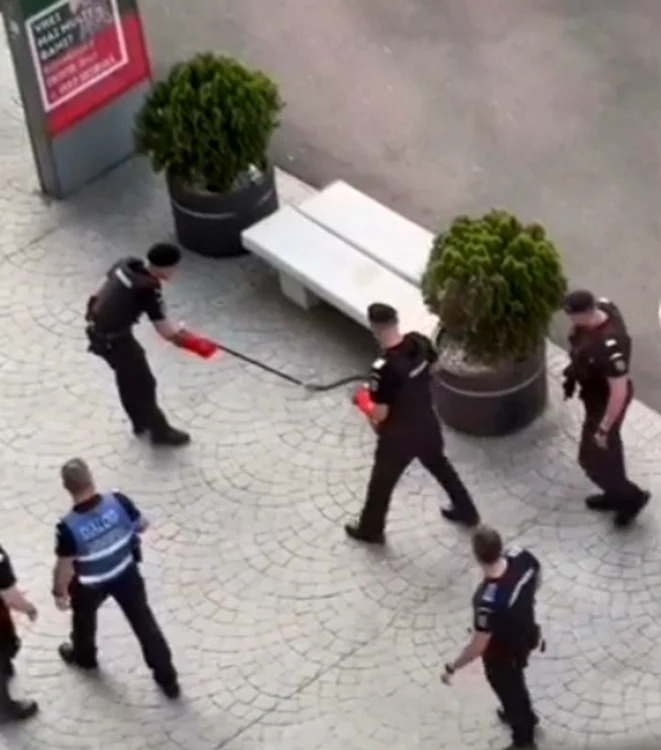 Șarpele a fost prins de jandarmi / foto: captură video