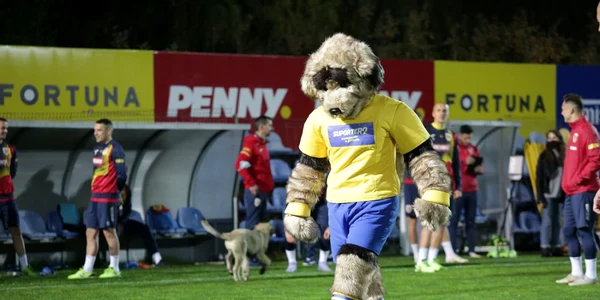 mascota România