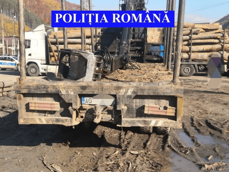 Hoții care au atacat cu un topor și o drujbă lucrătorii silvici care i-au prins la furat lemne au fost arestați