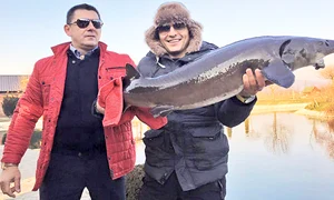 14 vedete 3 col varciu jpeg