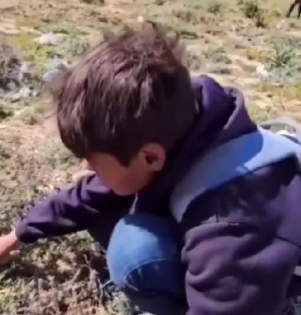 ONU a atras atenția că în Gaza este iminentă foametea. Foto Captură video X 