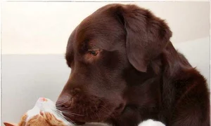 Hannes şi Hessel (Foto: Bert Jonkhans) jpeg