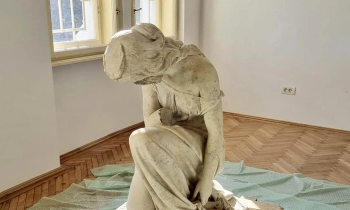 statuia aradul intristat jpg