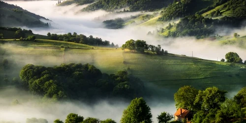 foto the guardian romania