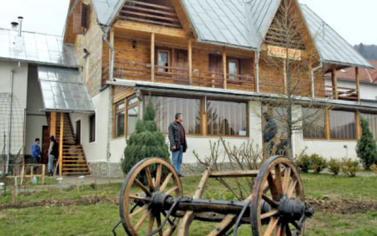 Ofertă avantajoasă de Crăciun
