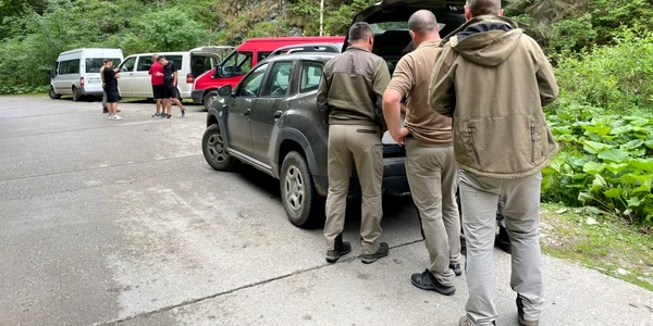 deseuri amenda apuseni