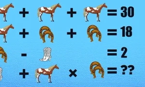 equation 1 webp