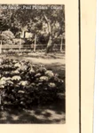 Hortensia Papadat Bengescu la Karlsbad png