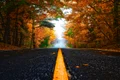 autumn 1758194 1280 jpg