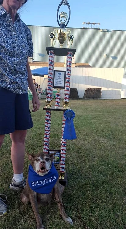 „Quasi Modo” a câștigat titlul de „Cel mai urât câine din lume”