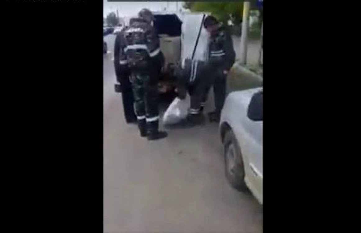 Hingherii îndeasă într-un sac câinele tranchilizat