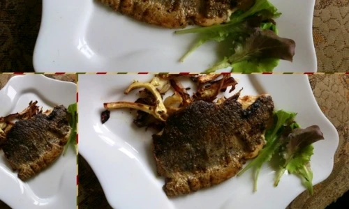 pastrav salbatic jpeg