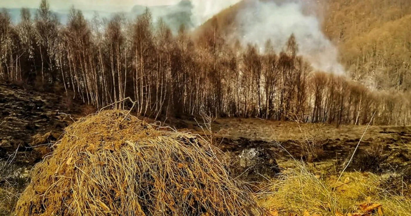 incendii padure isu hunedoara