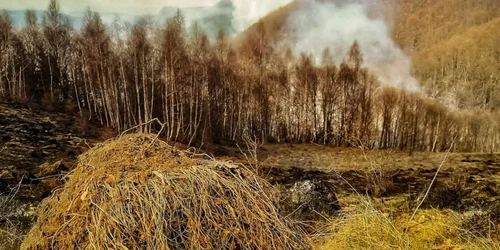 incendii padure isu hunedoara