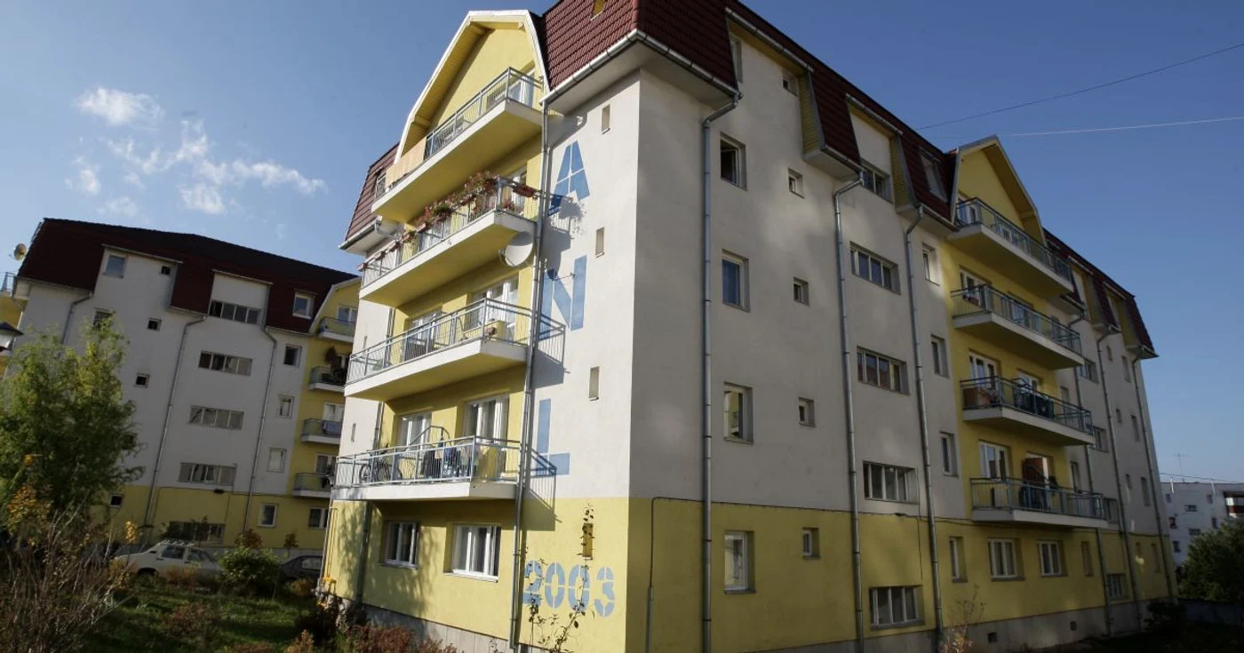 ANL (foto: adevarul)