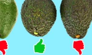 1 2 png png