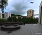 Municipiul Reșița, mai 2026  Foto Daniel Guță ADEVĂRUL (205) jpg