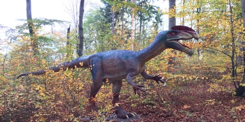 Dinozaurii au aterizat la Râşnov. FOTOfacebook Dino Park