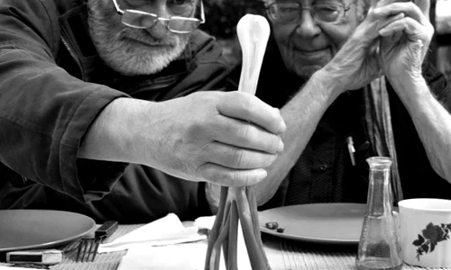 Mihai Şora sau Despre foşnetul abstracţiilor jpeg