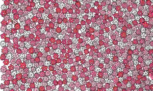 test1 jpeg