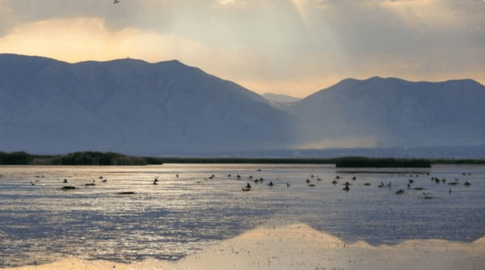 Marele Lac Sărat ar putea să dispară în 5 ani fără o intervenție de urgență, susțin specialiștii VIDEO