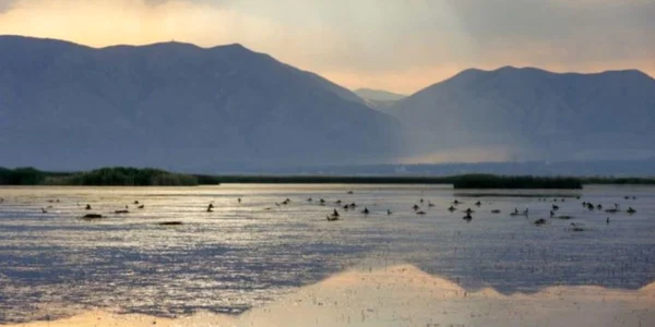 Marele Lac Sărat ar putea să dispară în 5 ani  Foto Twitter jpg