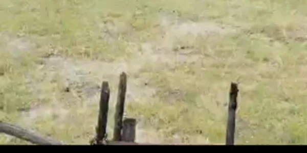 VID 20230705 WA0109 mp4 thumbnail png