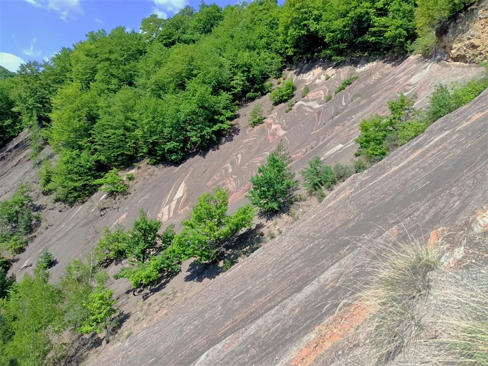 REzervația naturală Strâmtura Cozei FOTO: RNP