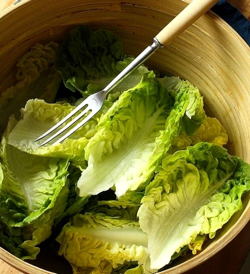 lettuce jpeg