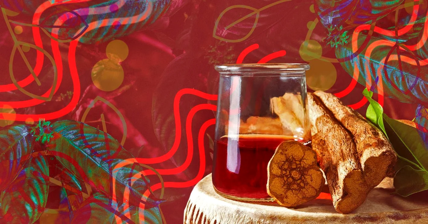 Ayahuasca este o combinaţie de plante care induce halucinaţii puternice 