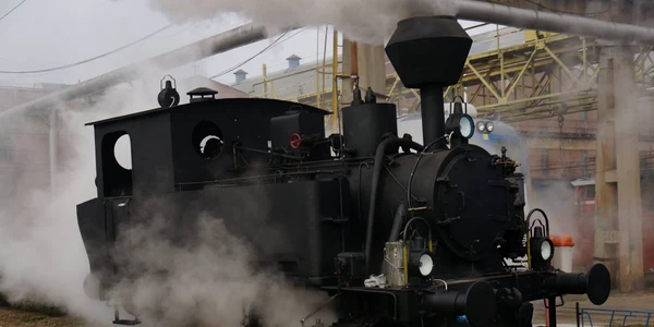 alba tren zlatna