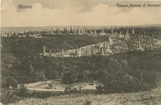 Peisaj petrolifer la Moreni, una dintre cele mai bogate regiuni petrolifere ale României interbelice. De la Moreni, petrolul mergea prin conducte direct la Constanţa şi la Giurgiu (© iMAGO Romaniae)