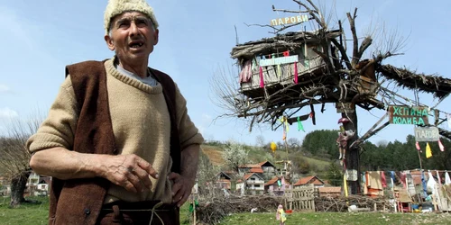 barbat casa in copac foto epa