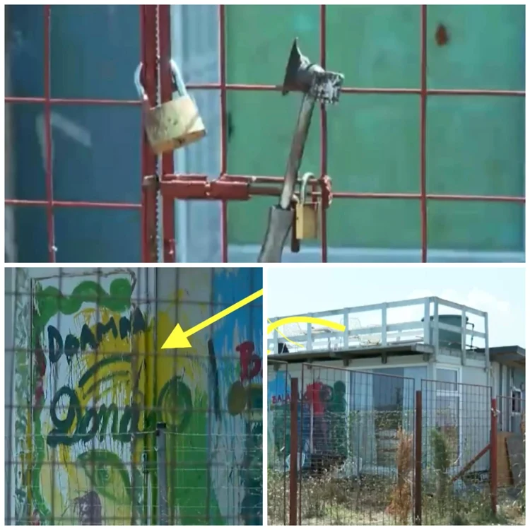 Dana Marijuana ar fi vândut drogurile chiar din containerul în care se mutase FOTO: FB/C.Ț.