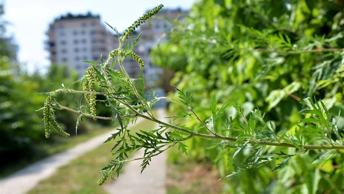 Foto: Arhivă