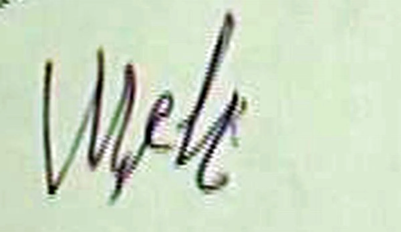 Vederi