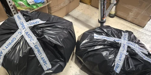 anpc dragonul roşu 01 foto ANPC jpg