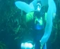 Pyrosome - uluitoarele creaturi marine cunoscute drept „unicornii mării” Foto YouTube