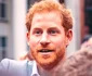 Prințul Harry  foto   Shutterstock jpg