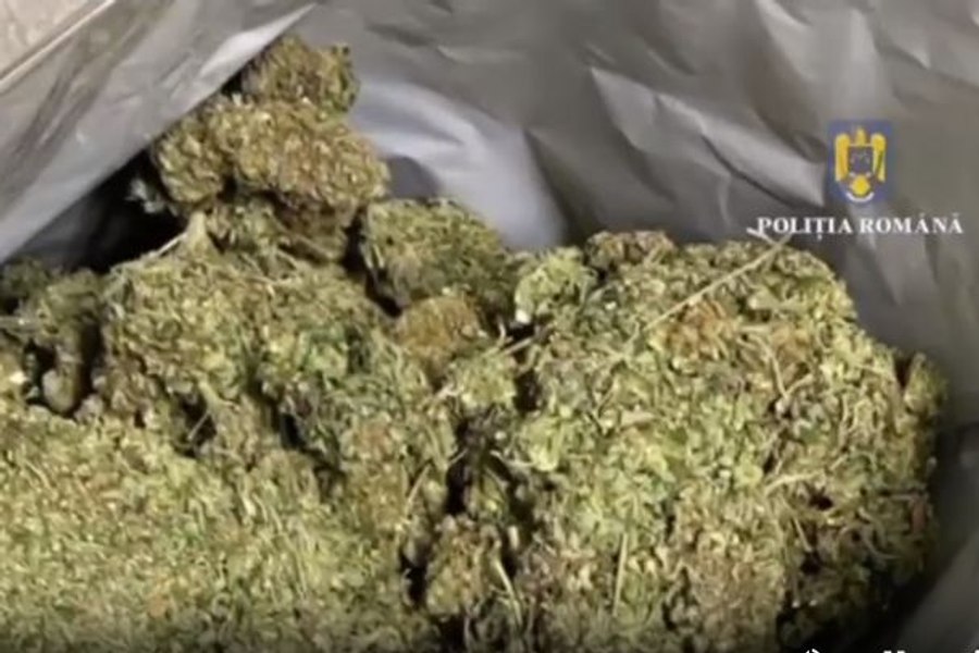 Medic ortoped, prins în flagrant când primea 20 kilograme de droguri. A spus că făcea un serviciu plătit