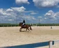 Baza hipică CS Cantemir Timișoara FOTO Ștefan Both